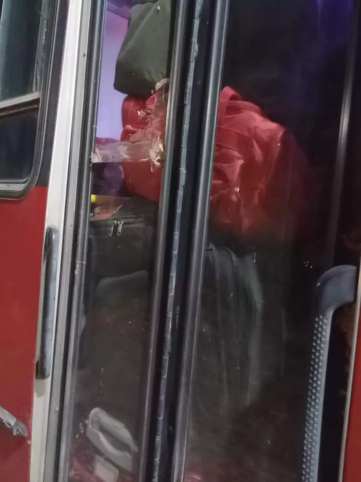 FB_IMG_1667819638609