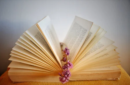 208614724-a-closeup-of-dried-flowers-in-between-book-sheets-on-the-table