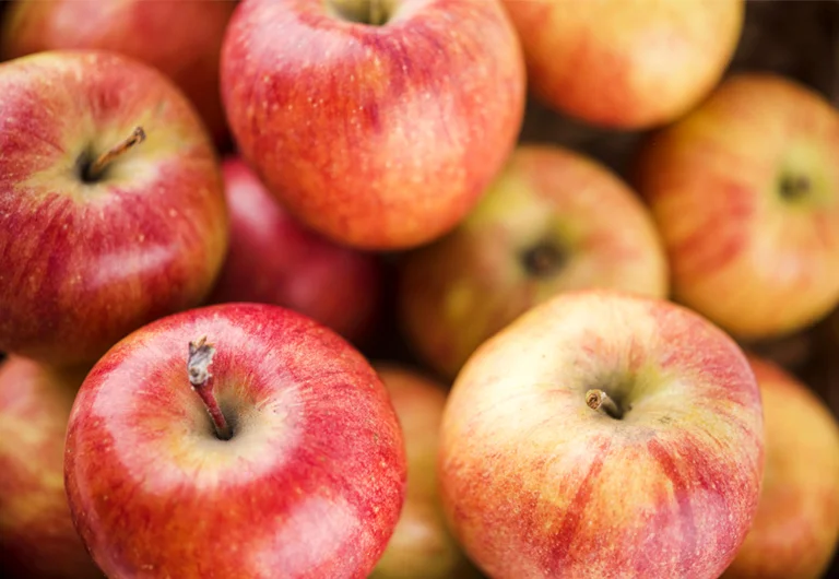 Vida_cotidiana_portada_Manzanas