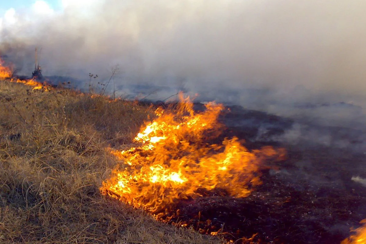 incendio-en-el-campo