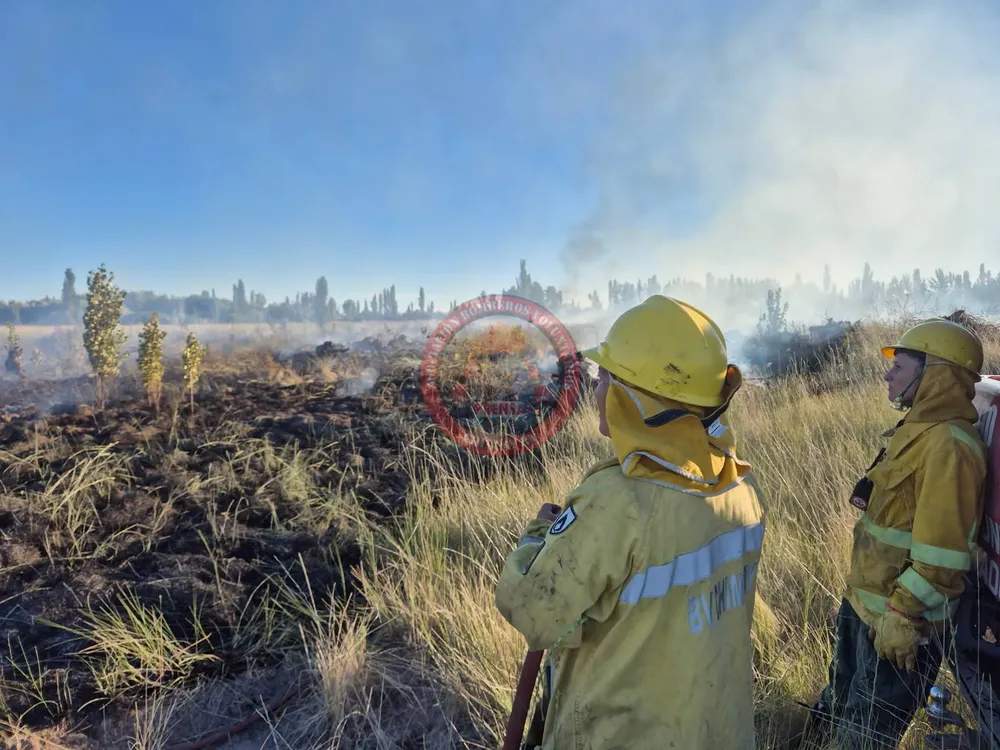 FB_IMG_1766758567817