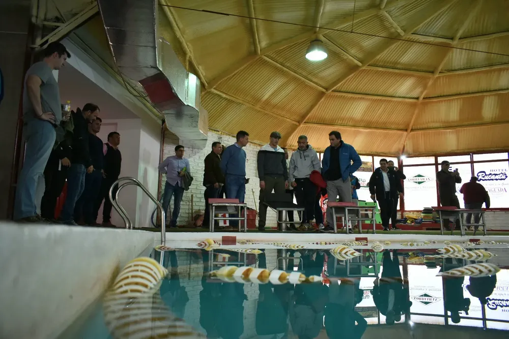 1692119962_2b255be477bbfe92a39b