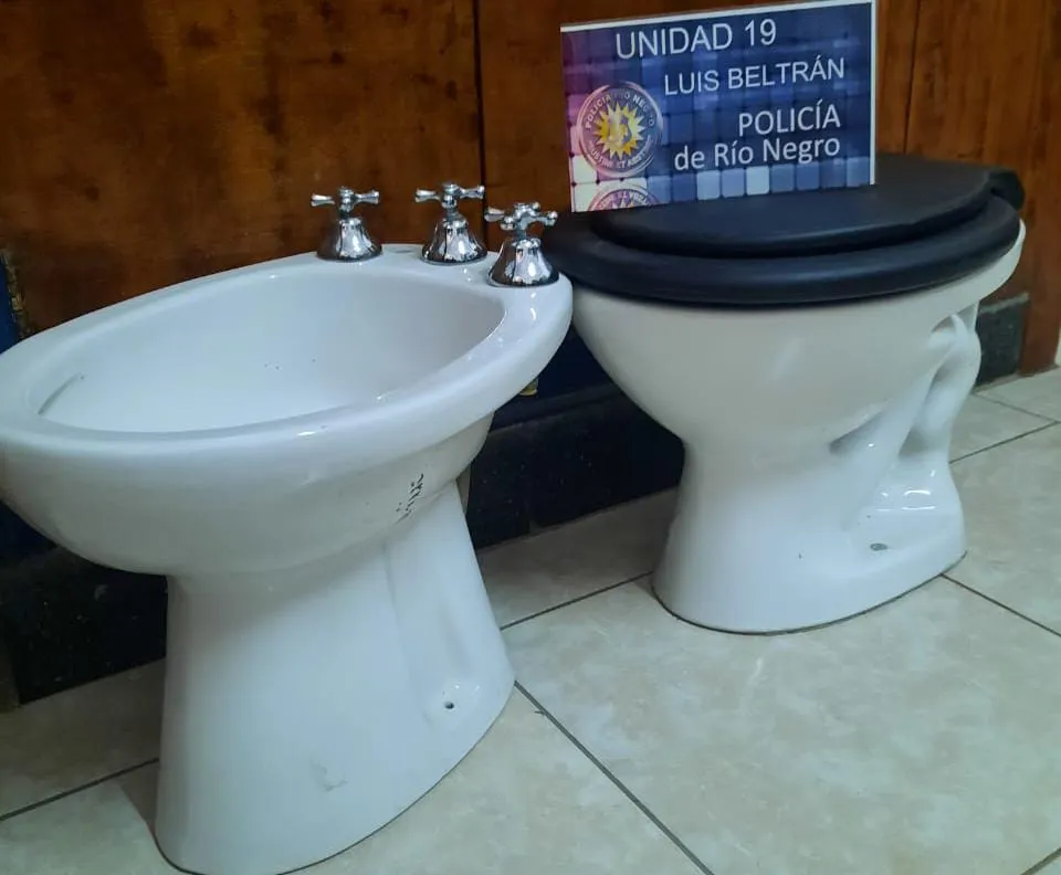 IMG-20240610-WA0191