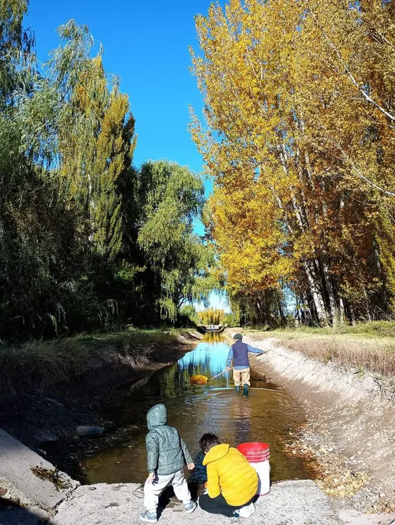 IMG-20240507-WA0022