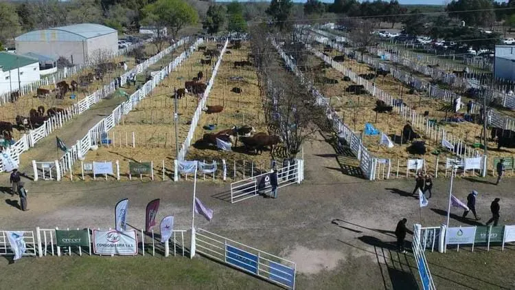 multimedia.normal.86685f346903f6c2.SU1HLTIwMjQwNTE1LVdBMDA1Ml9ub3JtYWwud2VicA==