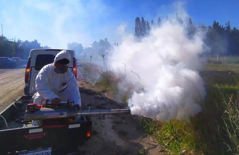 fumigaciones