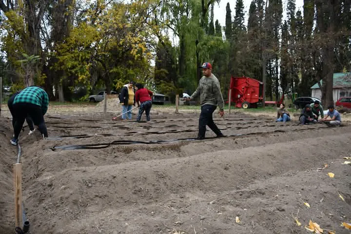 IMG-20250508-WA0076